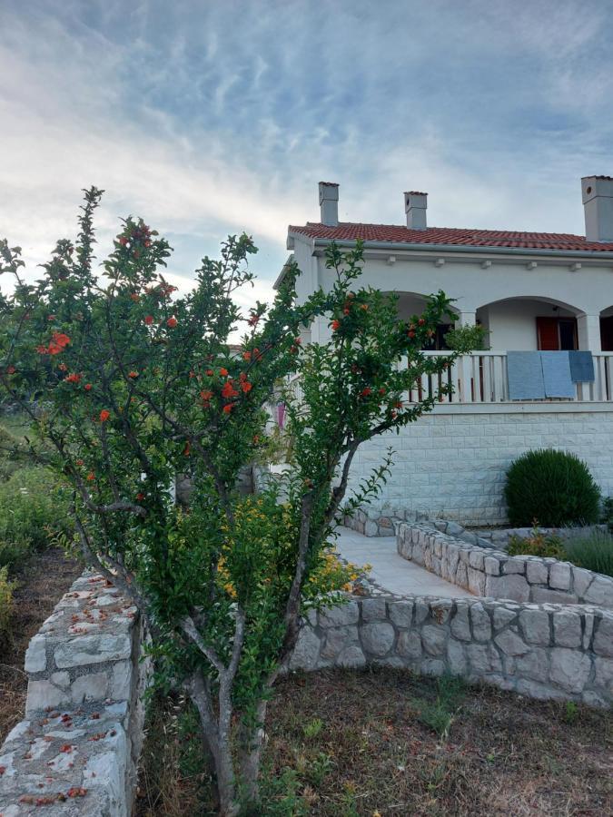 Goga Villa Ždrelac Eksteriør bilde